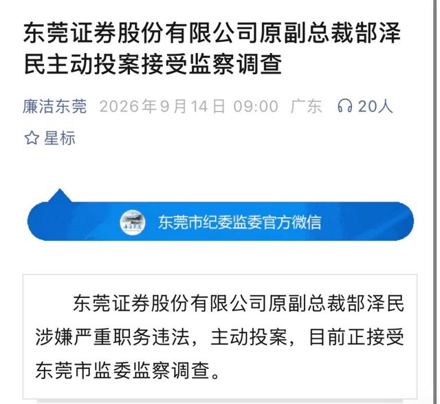 东莞证券前副总裁主动投案，此前曾因天威新材保荐业务受到监管警示