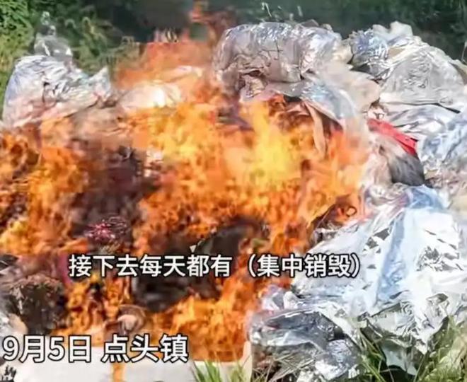 福建福鼎一次性销毁约10吨受潮茶叶，涉值逾200万元，茶农回应