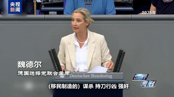 德媒：德国选择党支持率首破30%，联盟党跌新低