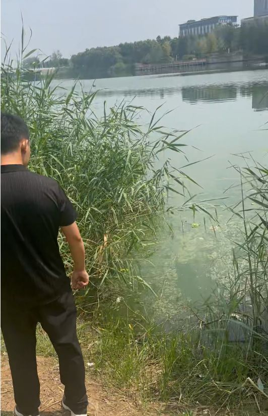 教师多次掌掴10岁学生致其轻生 家属称监控画面令人震惊