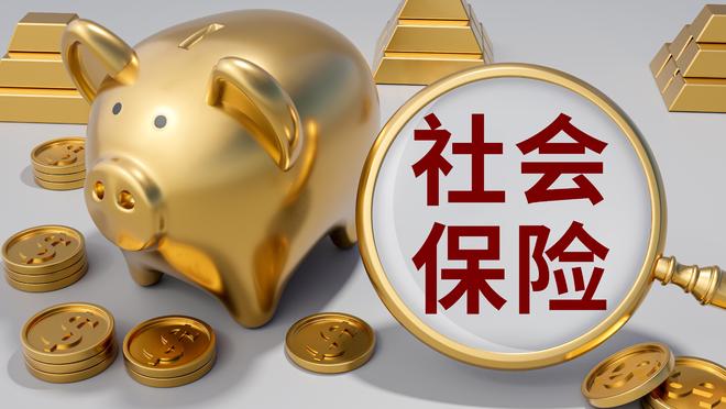 去年81.1%散户亏损，社保基金却狂赚3906亿，靠的是什么？