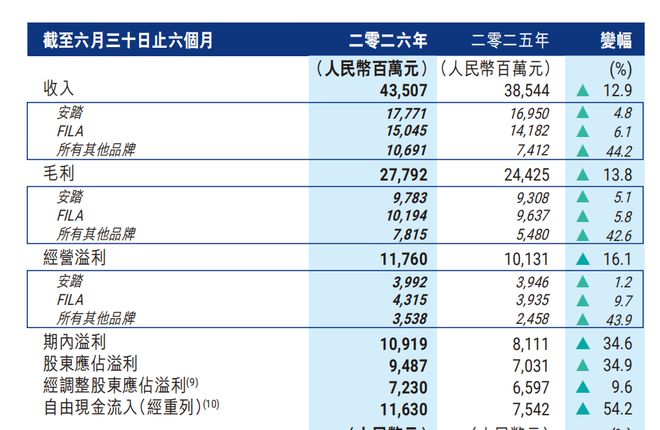 安踏半年报：光鲜数字背后，主品牌安踏暗藏隐忧