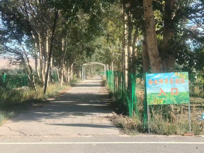 青海枸杞种植被指毁林占田，记者实地调查还原真相